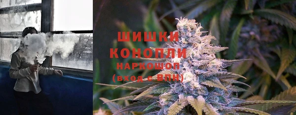 амф Аркадак